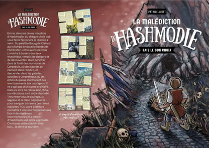 La malédiction d’Hashmodie Un livre interactif où vos choix forgeront votre destinée